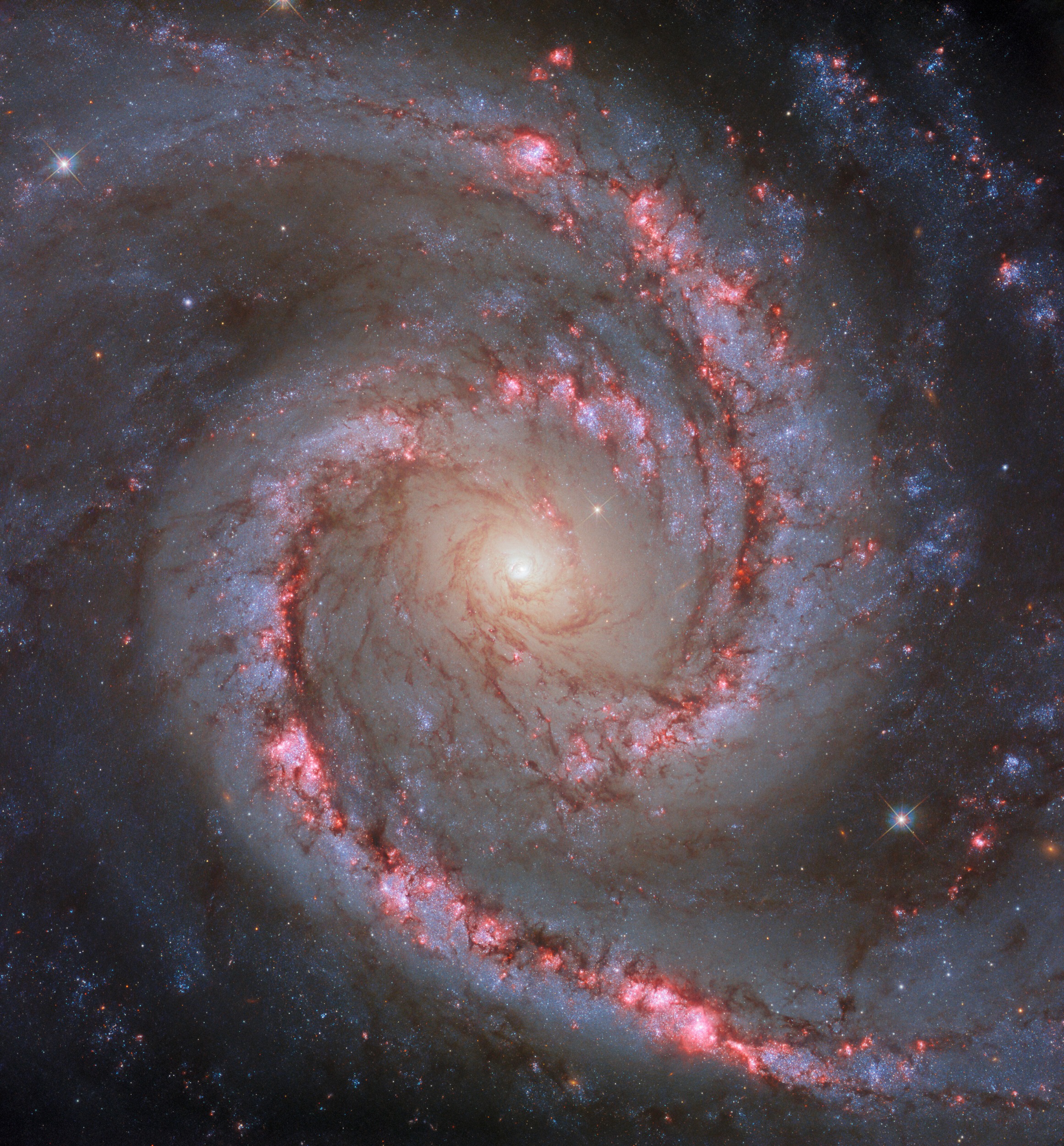 Spanish Dancer Galaxy galaxy observation
